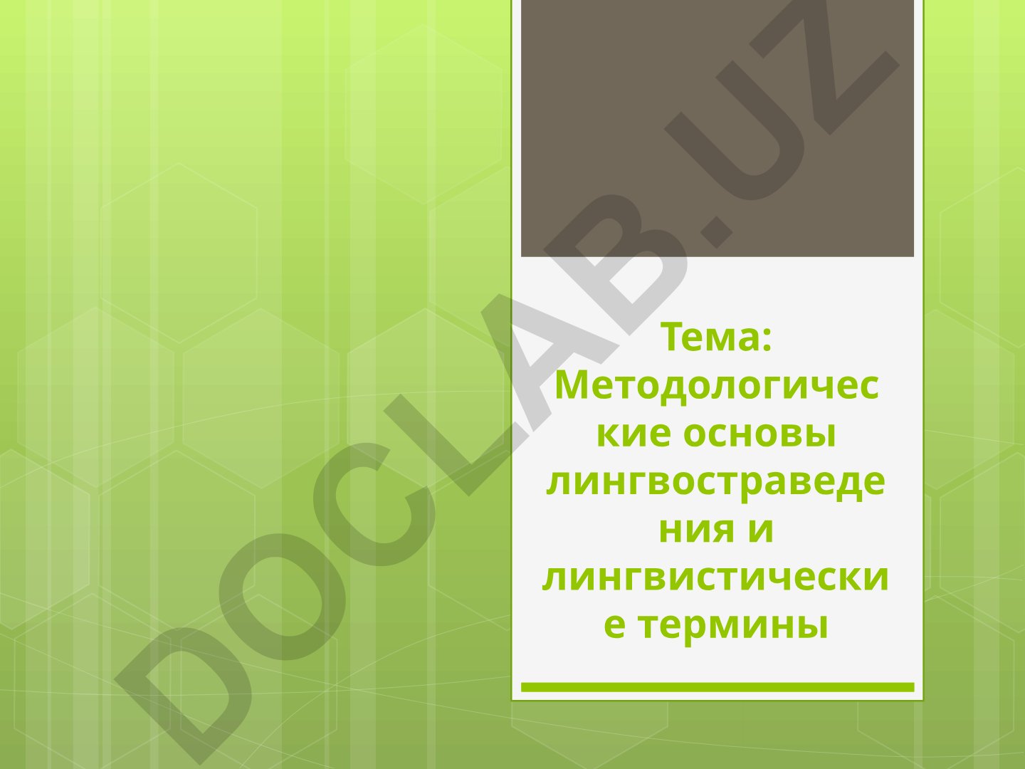 Методологические основы лингвостраведения и лингвистические термины
