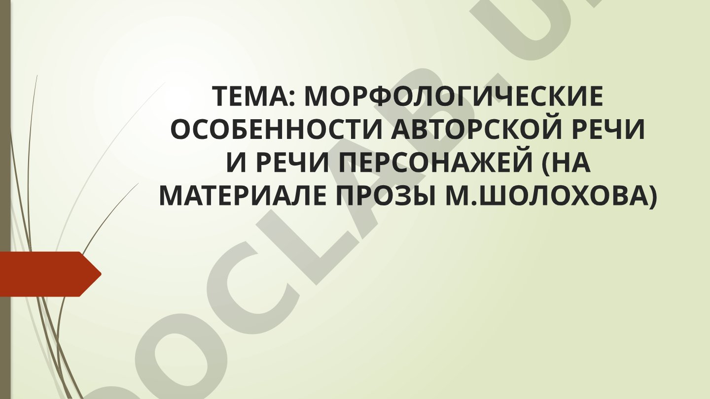 Морфологические особенности авторской речи и речи персонажей (на материале прозы М.Шолохова)