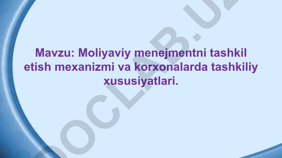Moliyaviy menejmentni tashkil etish mexanizmi va korxonalarda tashkiliy xususiyatlari