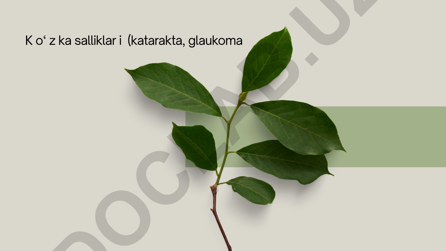 Ko'z kasalliklari: miopiya, katarakta va glaukoma