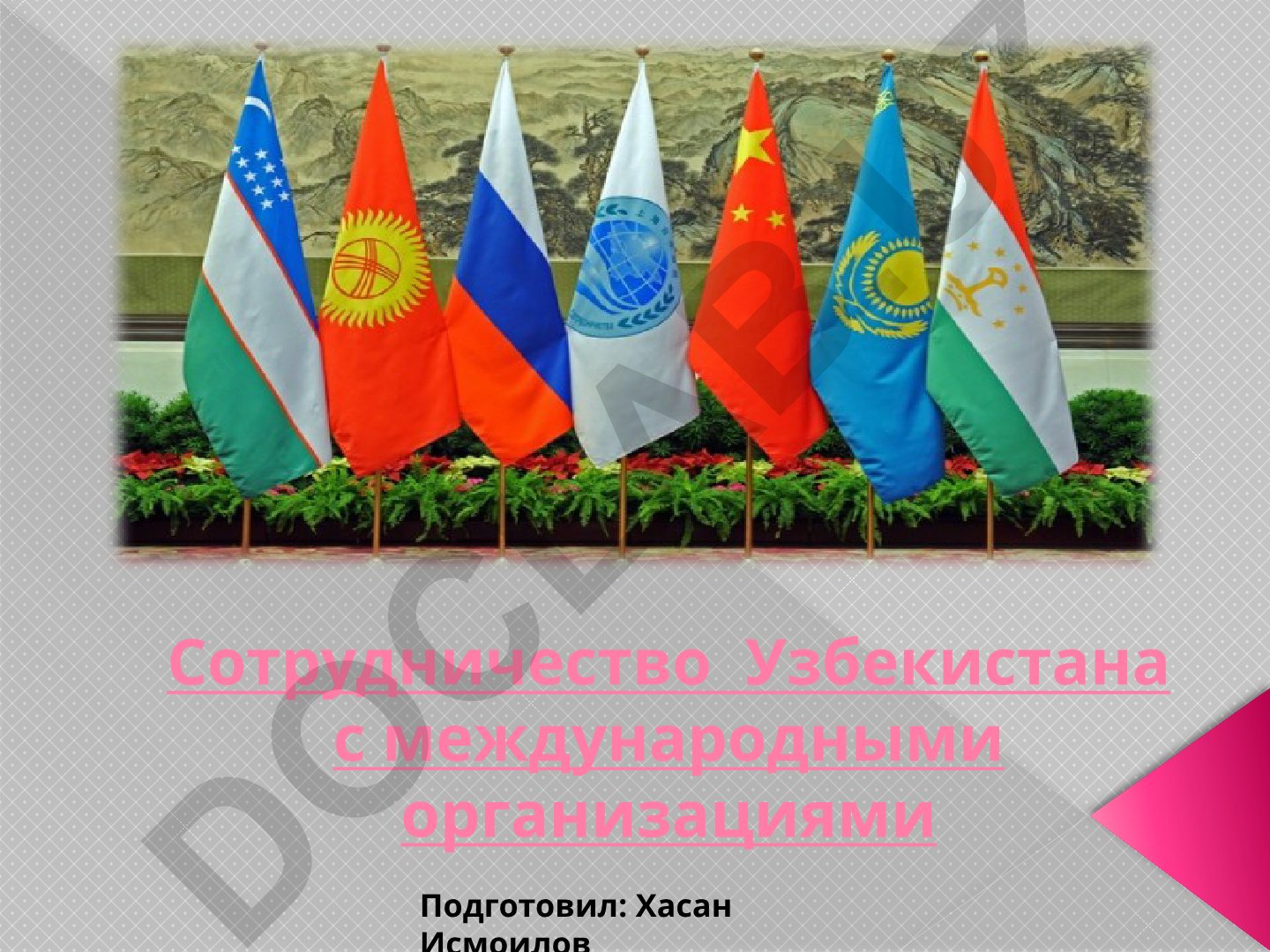 Сотрудничество Узбекистана с международными организациями