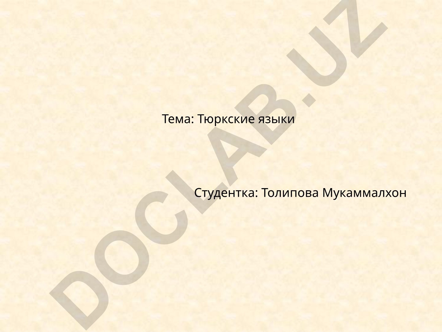 Тюркские языки и тюркизмы в русском языке