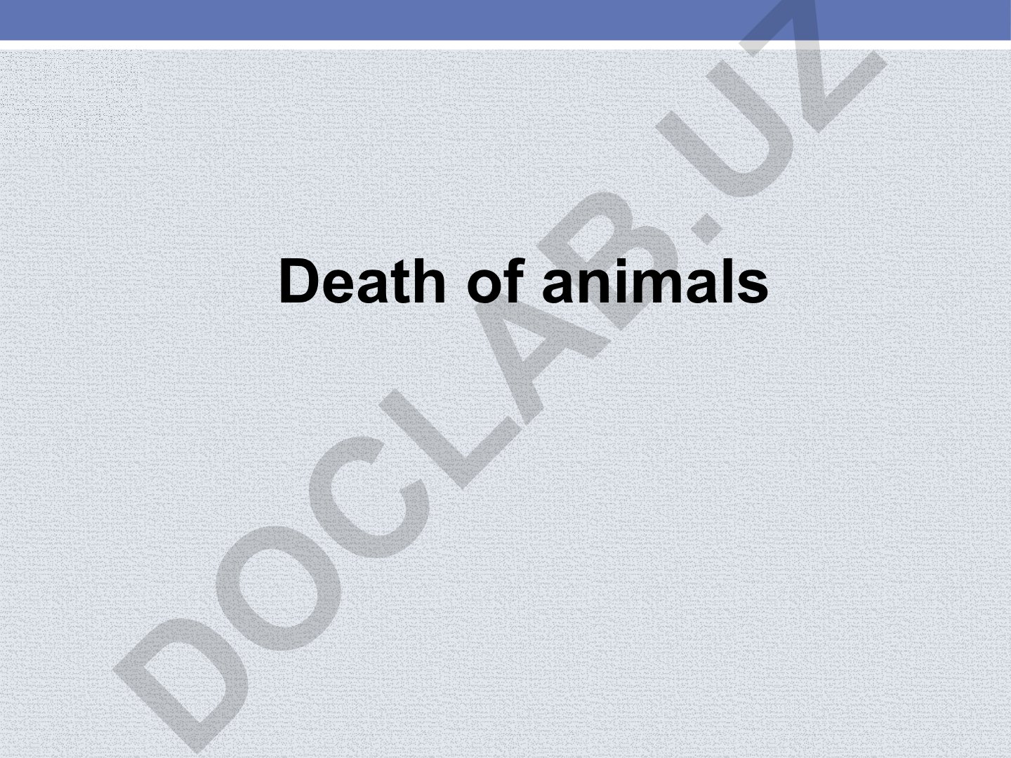 Caspian seal habitat, lifespan and feeding habits