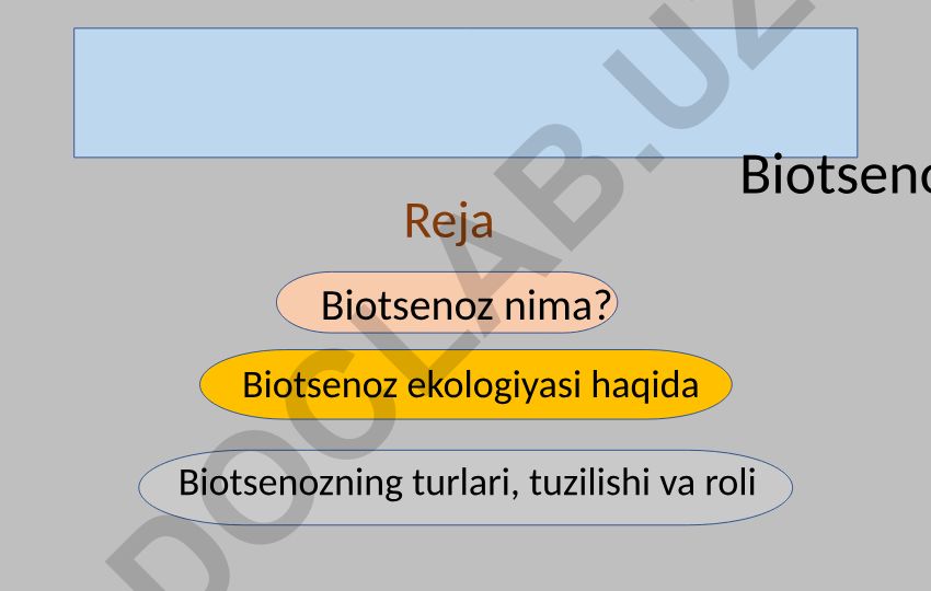 Biotsenoz ekologiyasi