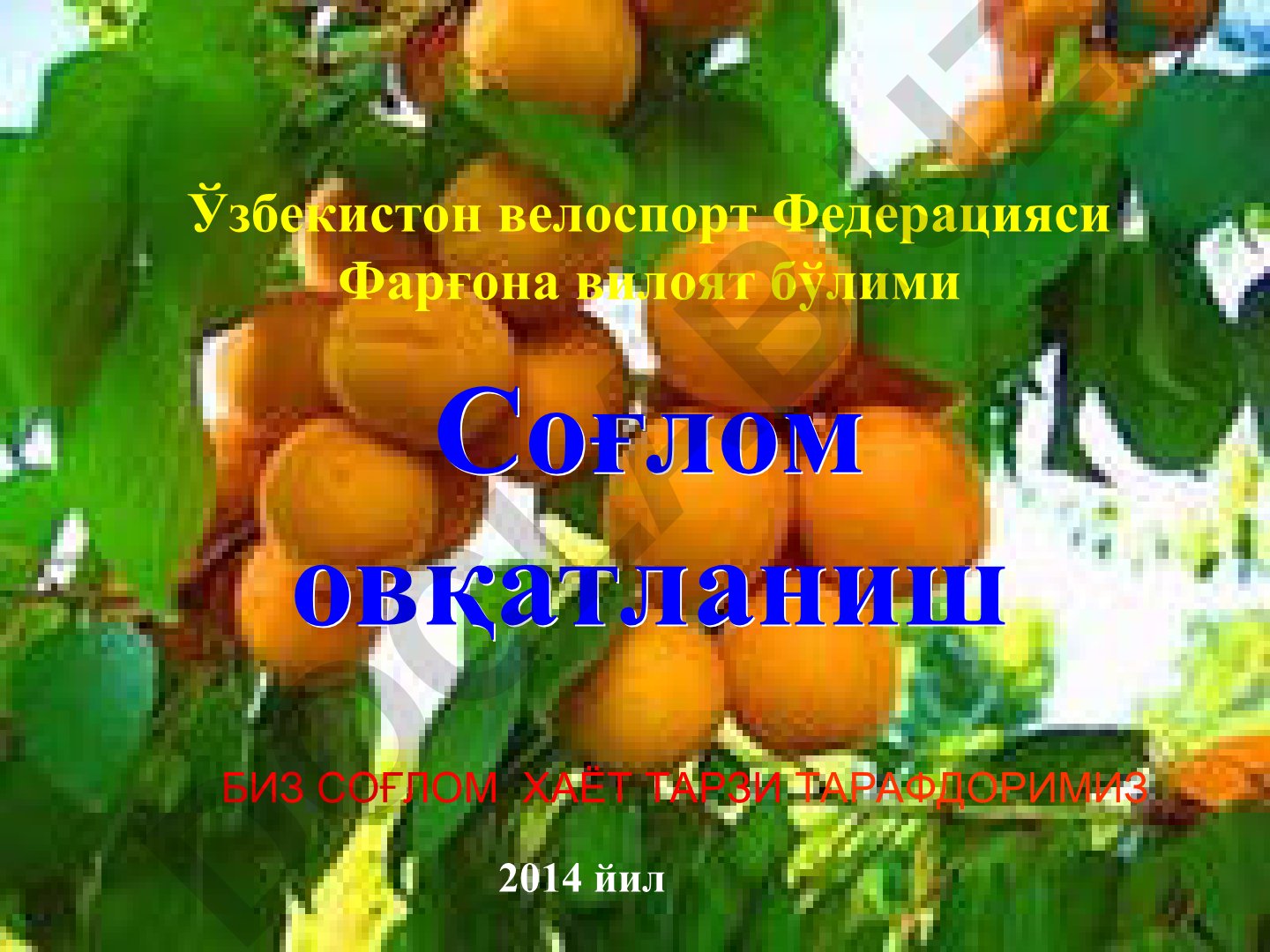 Соғлом овқатланиш ва овқатланиш маданияти