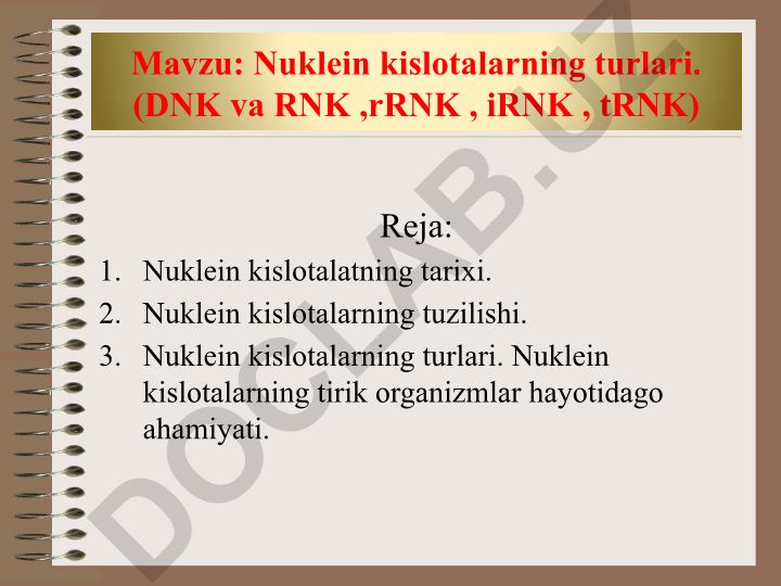 Nuklein kislotalarning turlari (DNK va RNK, rRNK, iRNK, tRNK)
