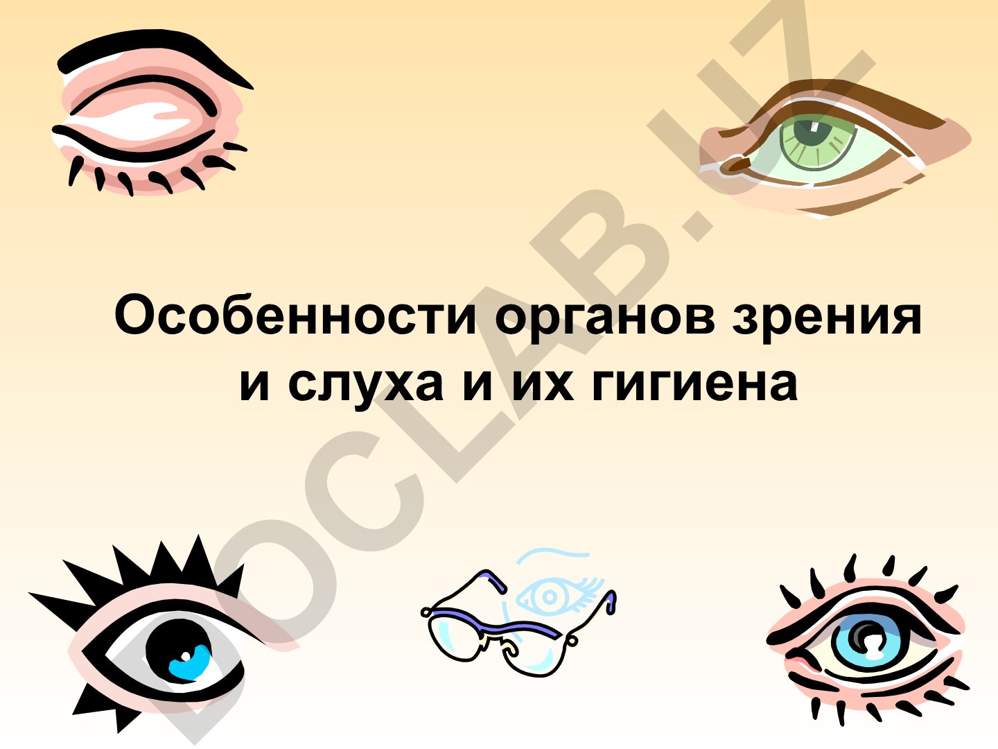 Особенности органов зрения и слуха и их гигиена