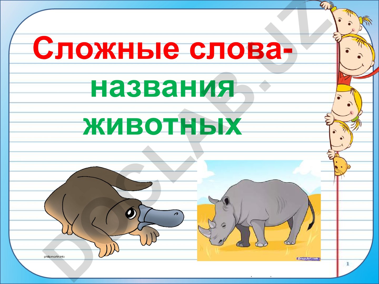 Сложные слова-названия животных