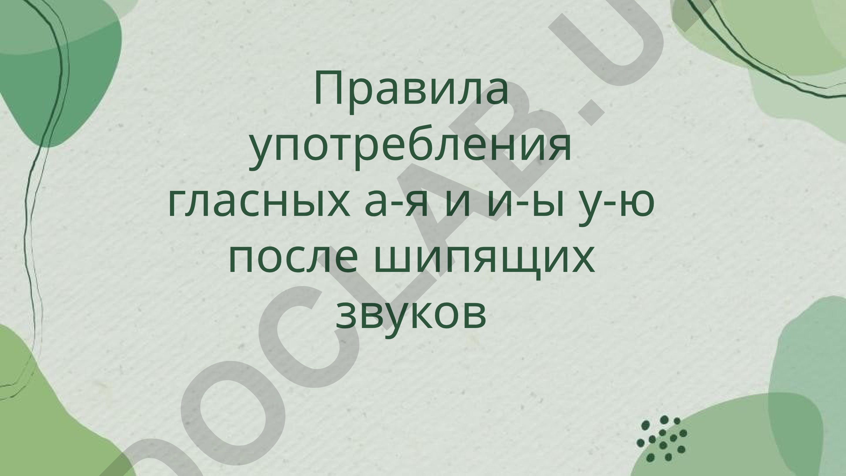 Правила употребления гласных а-я и и-ы у-ю после шипящих звуков