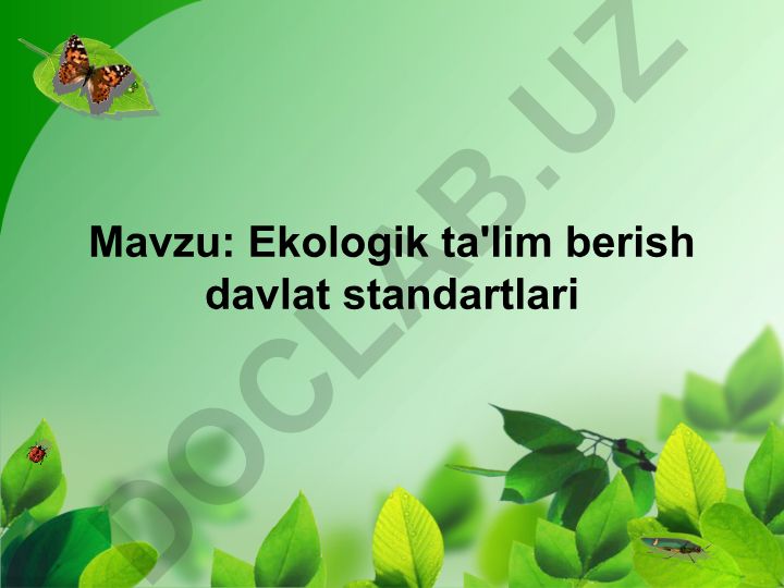 Ekologik ta'lim berish davlat standartlari