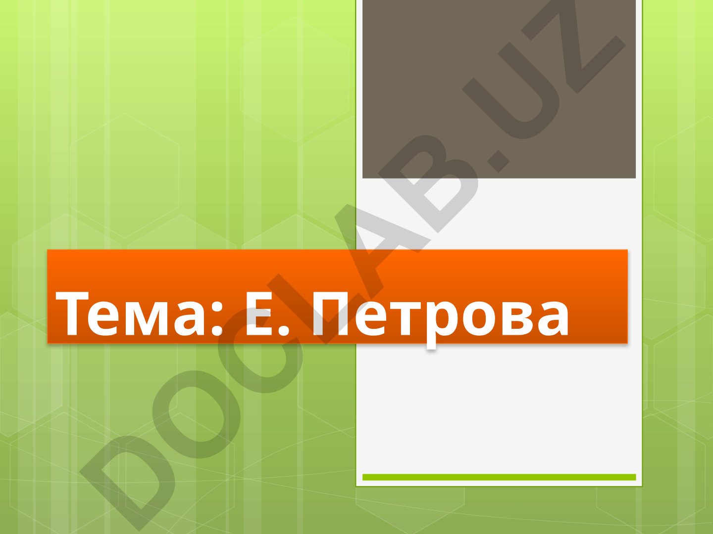 И.Е. Петров: биография и военная служба