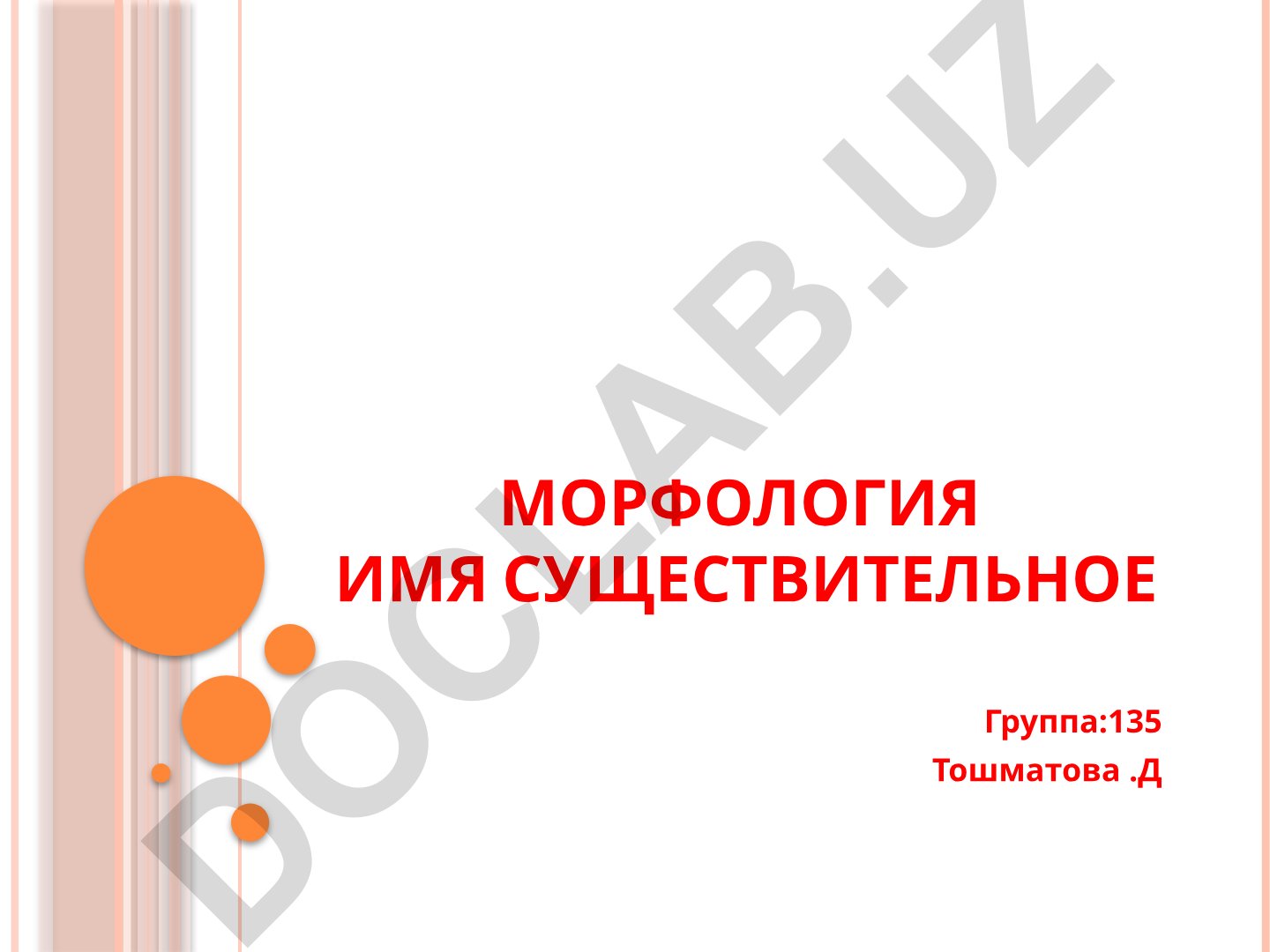 Морфология имени существительного в русском языке