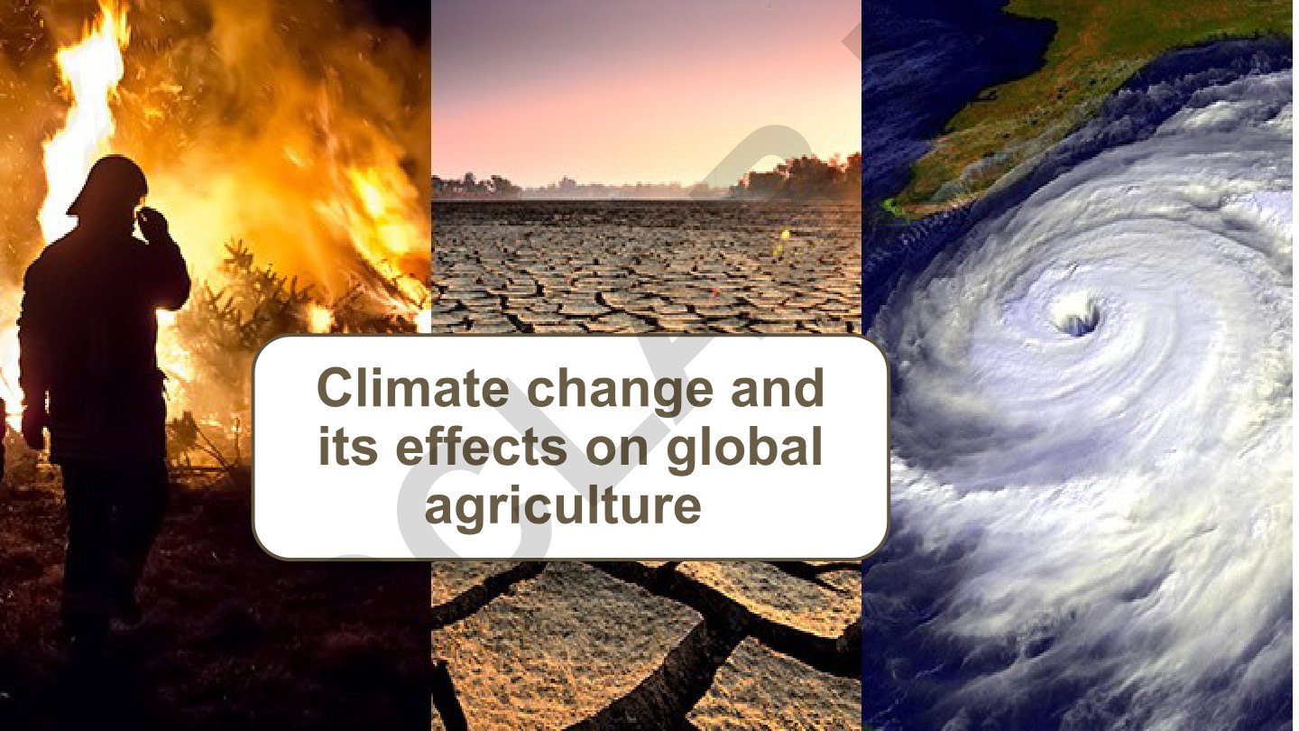 Climate change and its effects on global agriculture