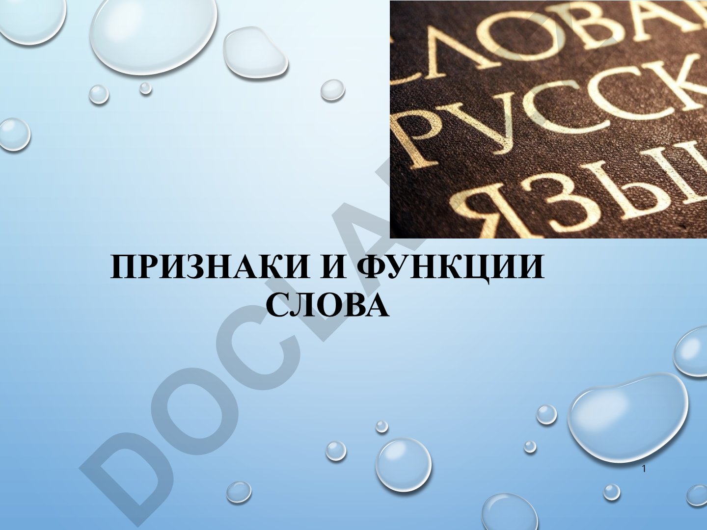 Признаки и функции слова в системе языка