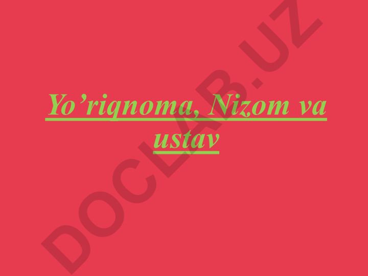 Yo'riqnoma, Nizom va ustav tushunchalari