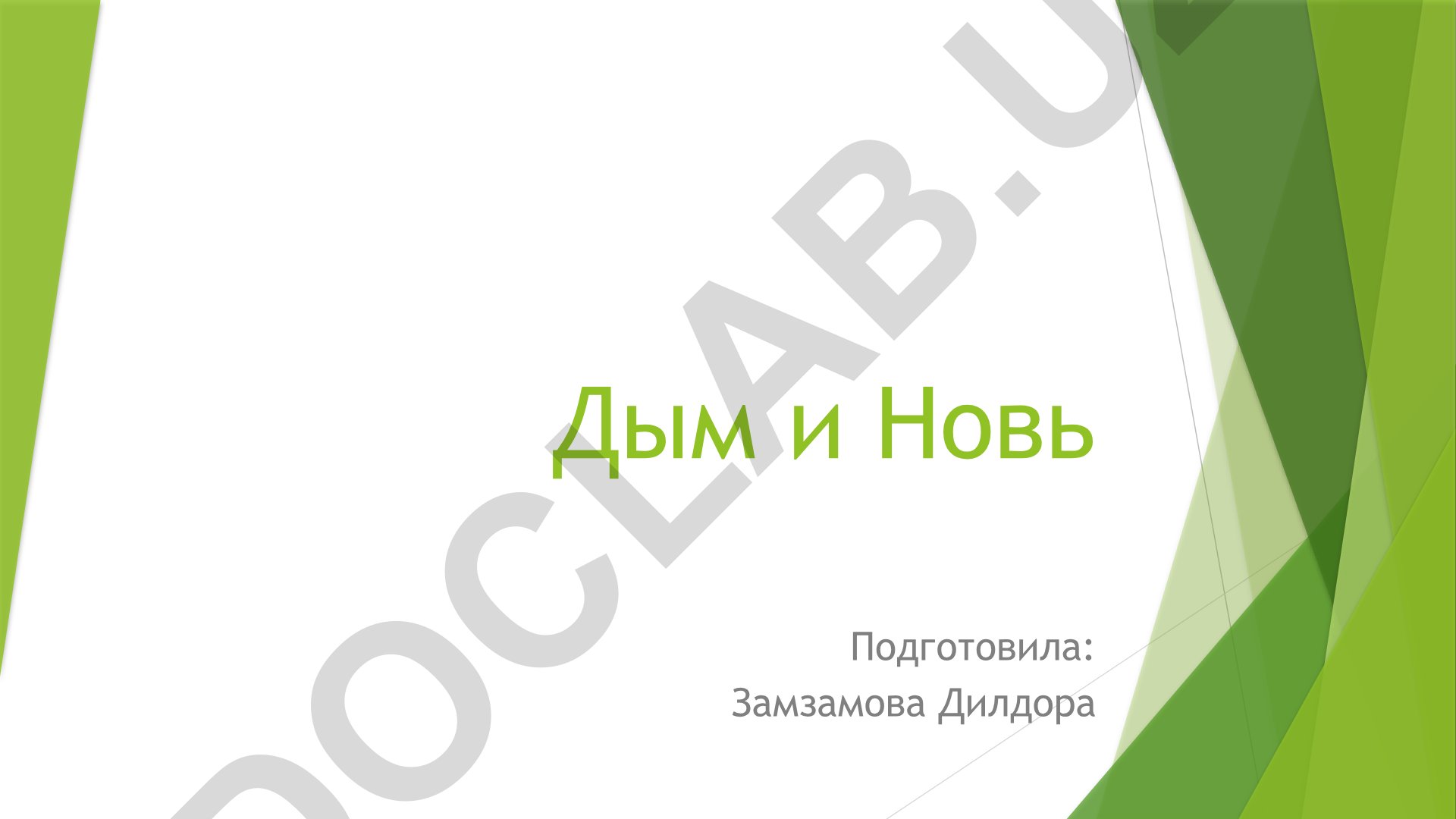 Поэтика романов И.С. Тургенева «Дым» и «Новь»
