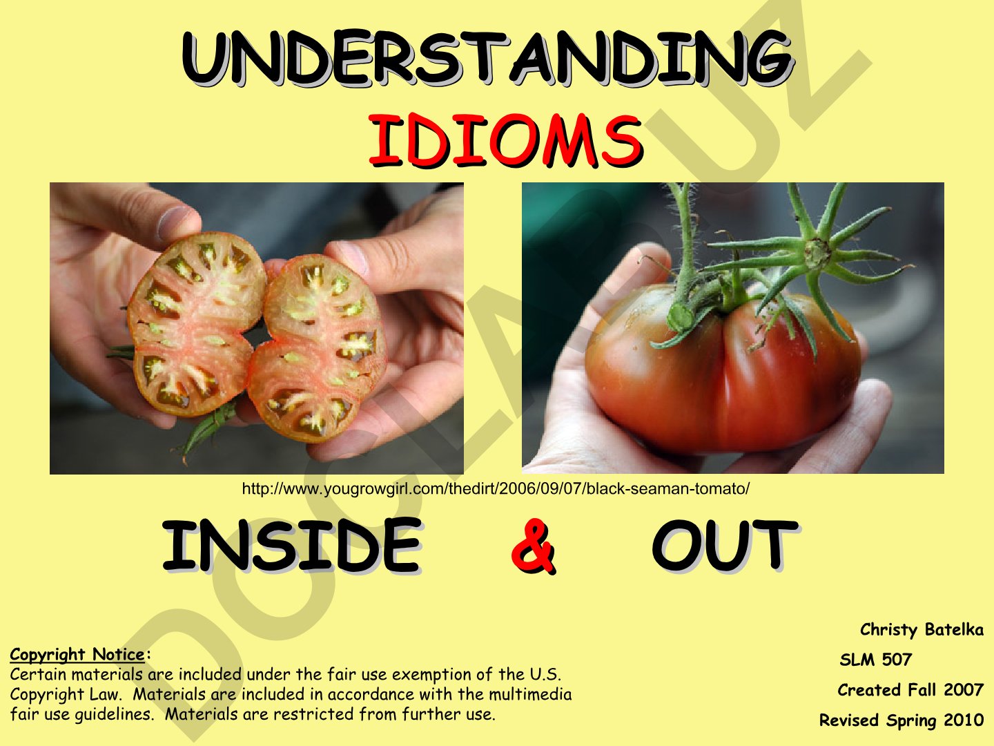 Understanding Idioms Inside Out