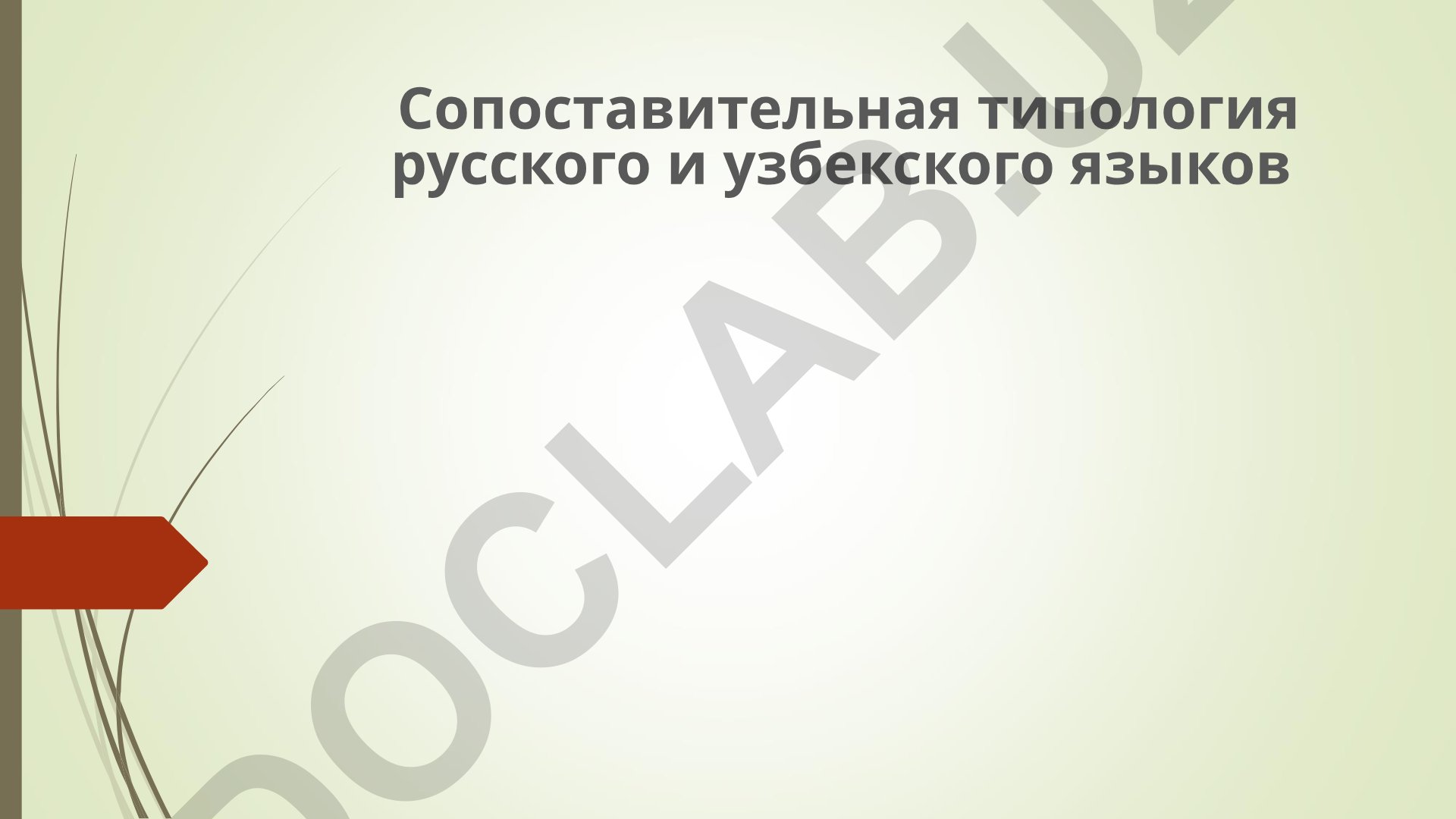 Сопоставительная типология русского и узбекского языков