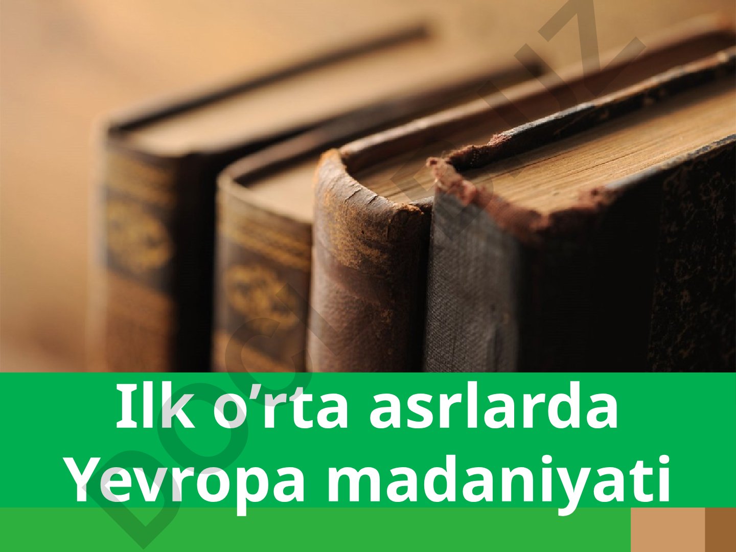 Ilk o'rta asrlarda Yevropa madaniyati