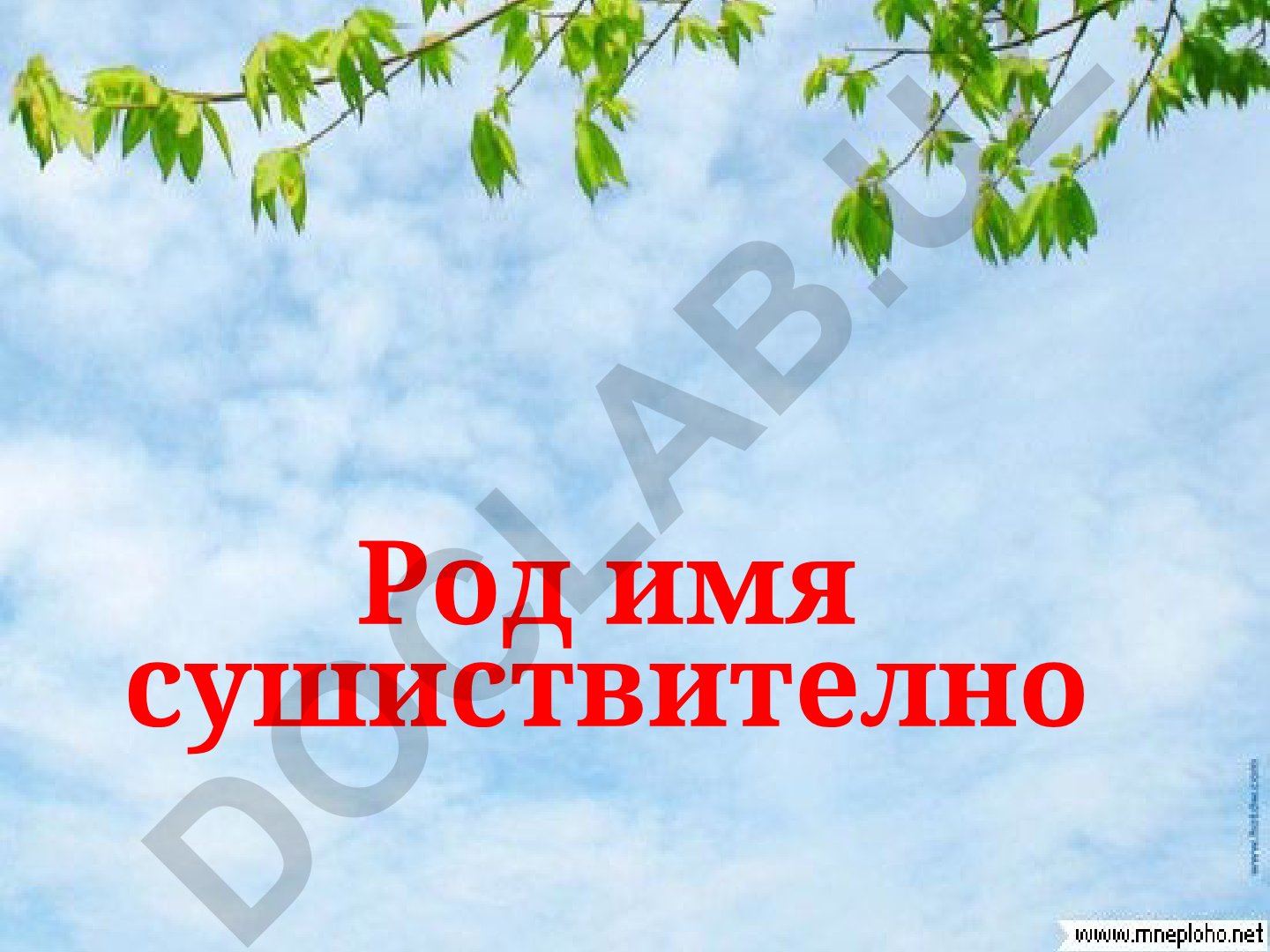Род имени существительного в русском языке