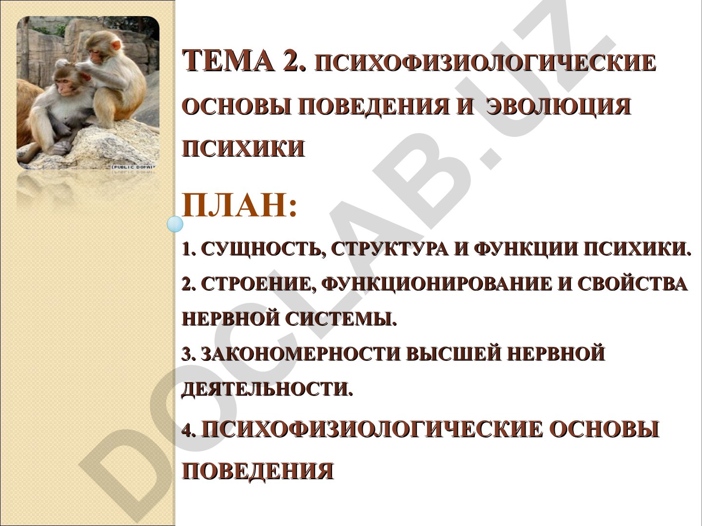 Психофизиологические основы поведения и эволюция психики