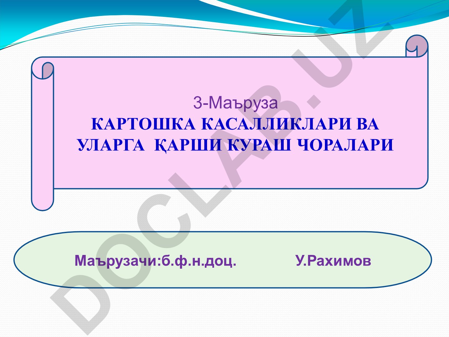 Картошка касалликлари ва уларга қарши кураш чоралари