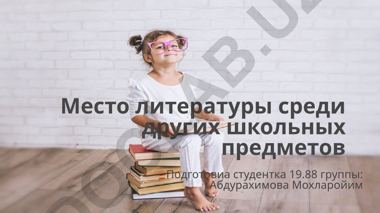 Место литературы среди других школьных предметов
