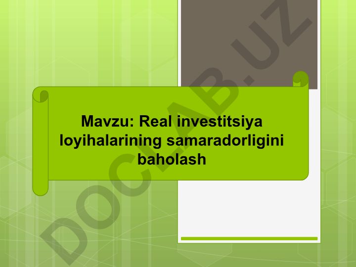 Real investitsiya loyihalarining samaradorligini baholash
