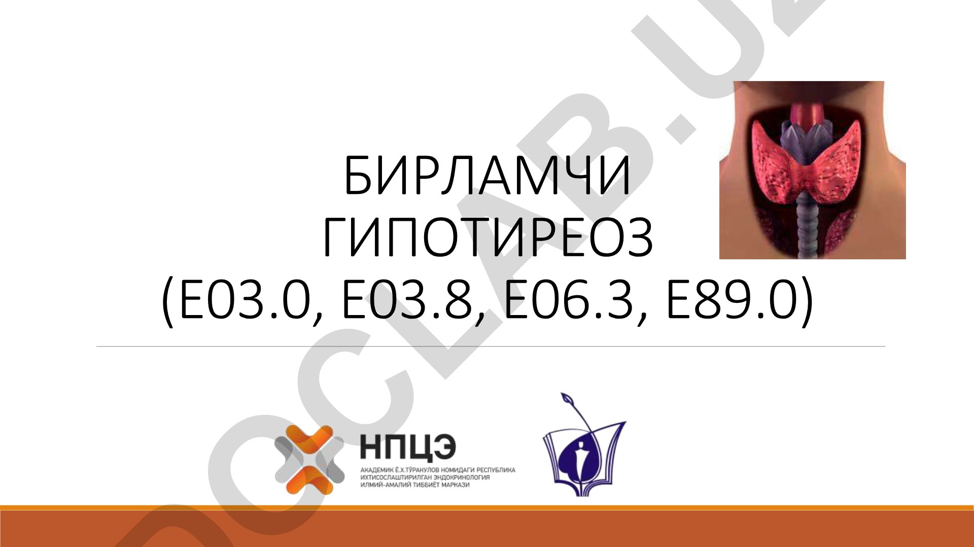 Бирламчи гипотиреоз: классификация, этиология ва патогенез