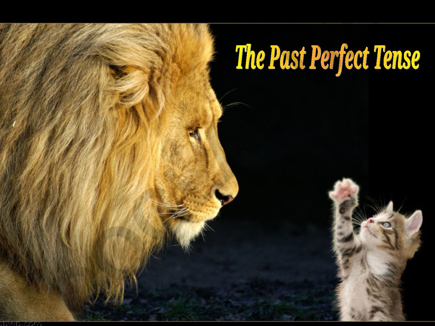 Past Perfect Tense qo'llanilishi va misollar