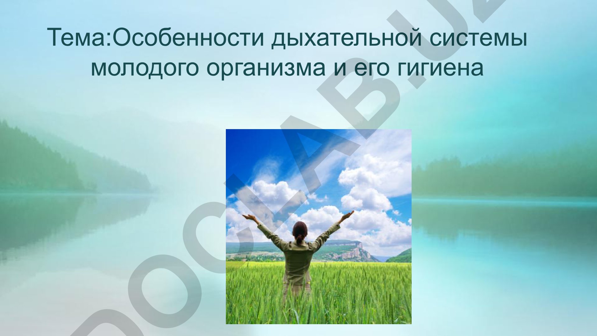 Особенности дыхательной системы молодого организма и его гигиена