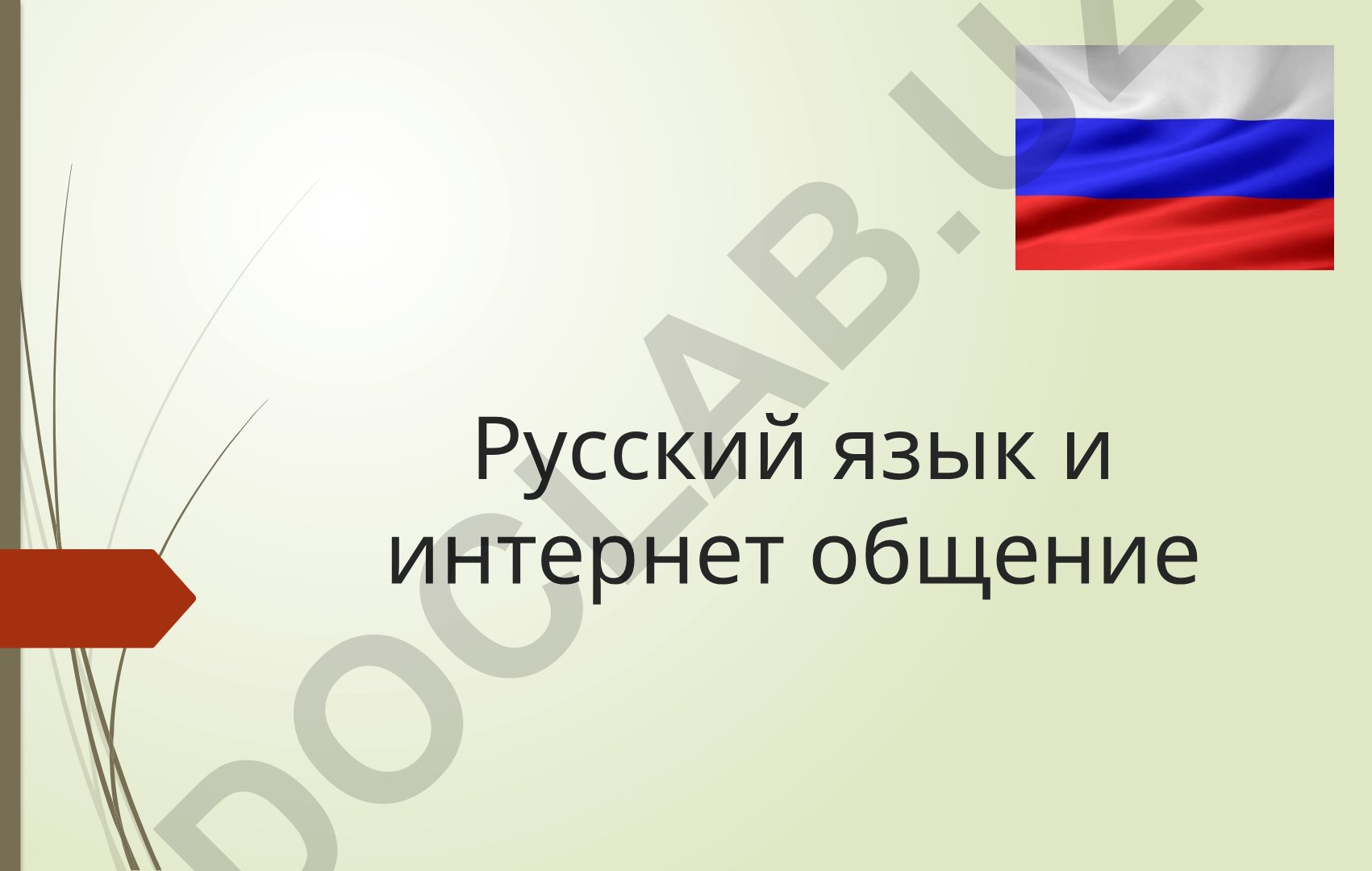 Русский язык и интернет общение