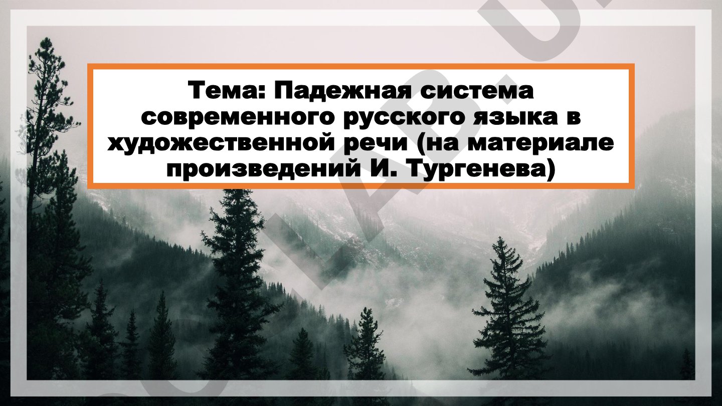 Падежная система современного русского языка в художественной речи (на материале произведений И. Тургенева)