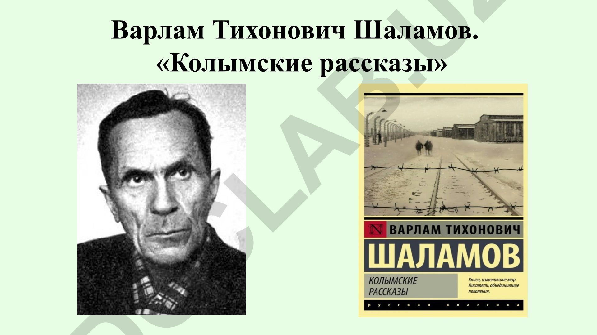 Варлам Шаламов «Колымские рассказы» биография и творчество