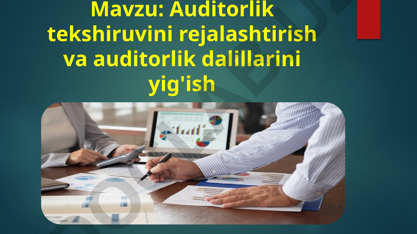 Auditorlik tekshiruvini rejalashtirish va auditorlik dalillarini yig'ish