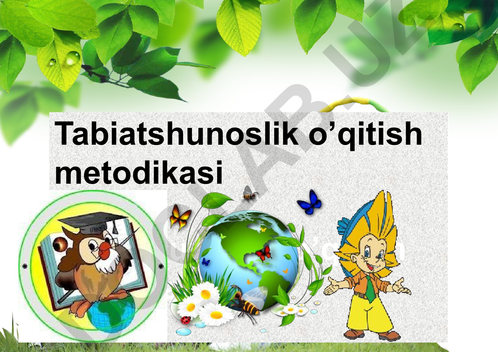 Boshlang'ich sinf o'quvchilarida tabiatshunoslik tushunchalarini shakllantirish metodikasi