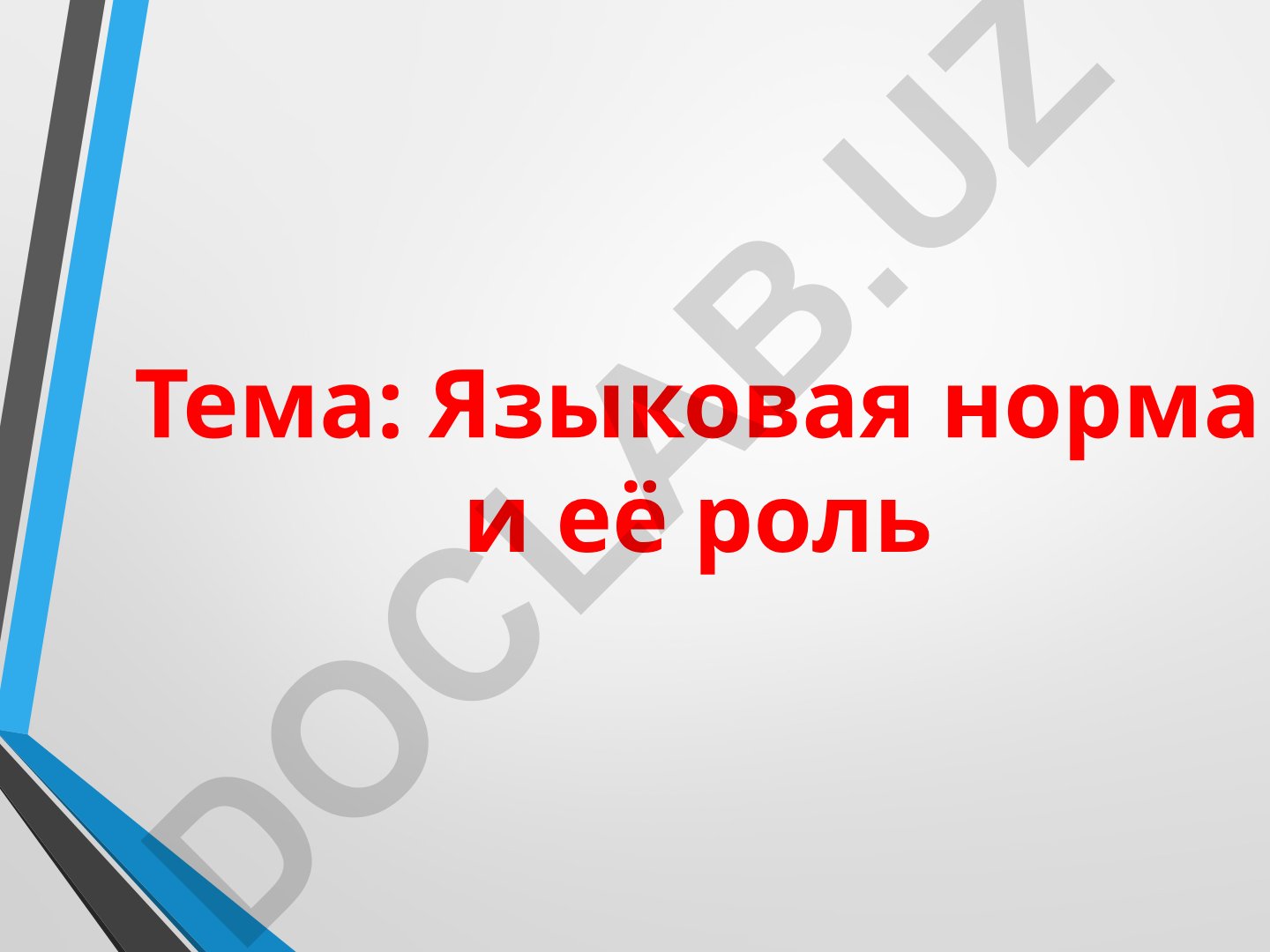 Языковая норма и её роль