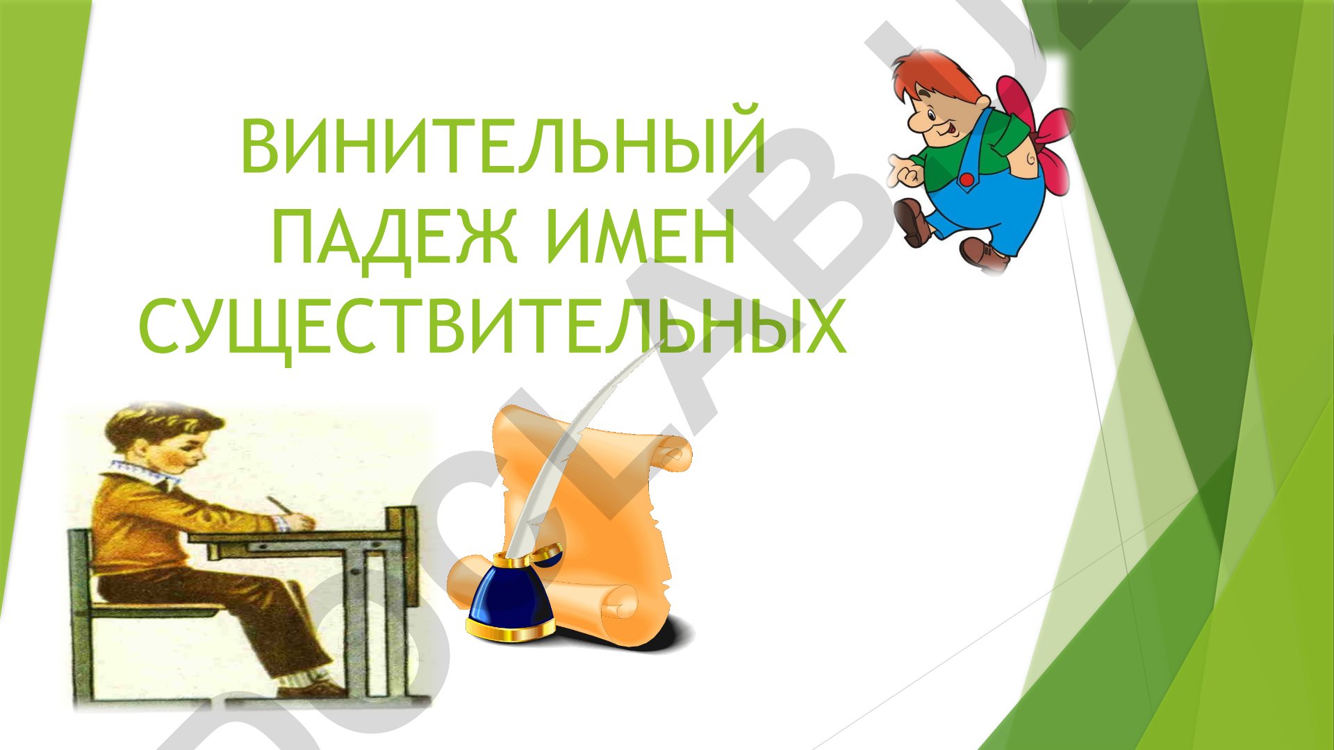 Винительный падеж имён существительных в русском языке
