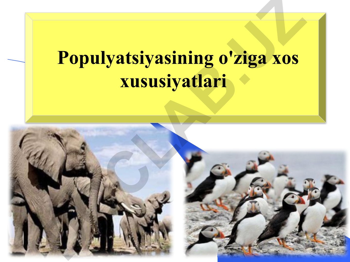 Populyatsiyaning xususiyatlari va strukturasi