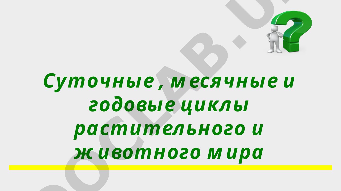 Суточные, месячные и годовые циклы растительного и животного мира