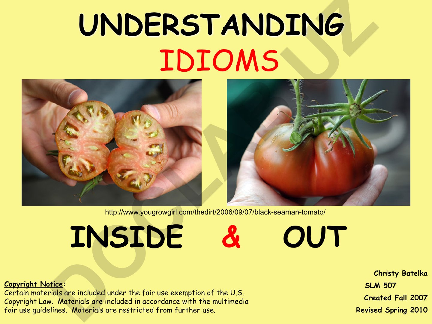 Understanding Idioms Inside Out