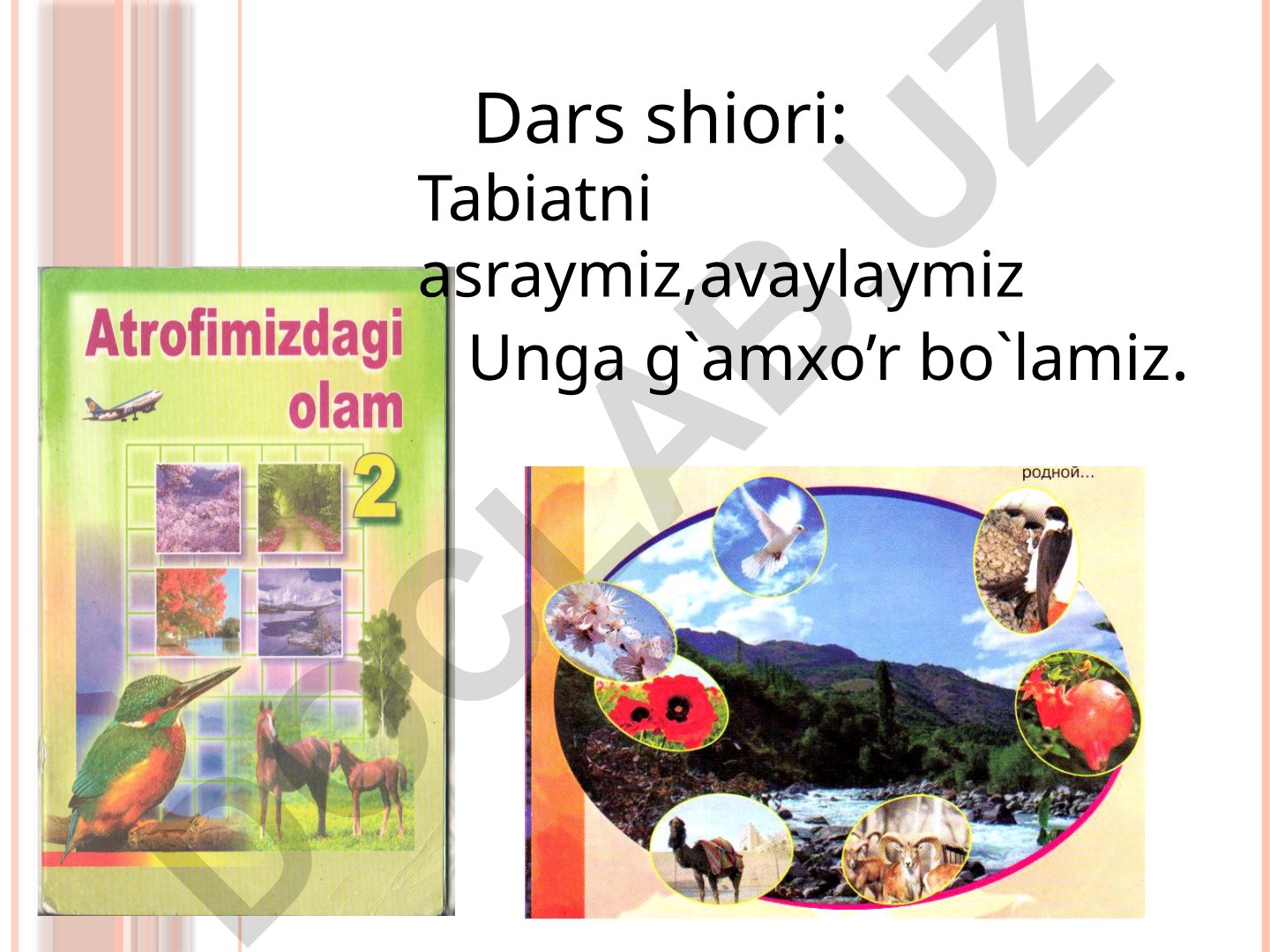 Tabiatni asrash va hasharotlar haqida dars materiali