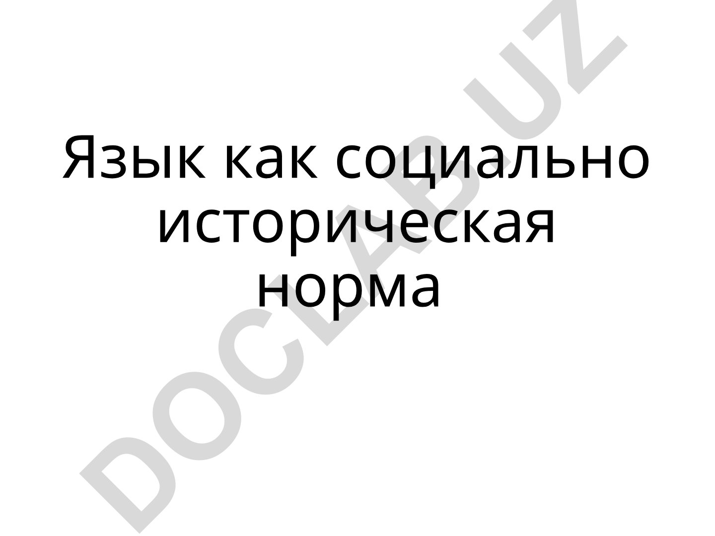 Язык как социально историческая норма