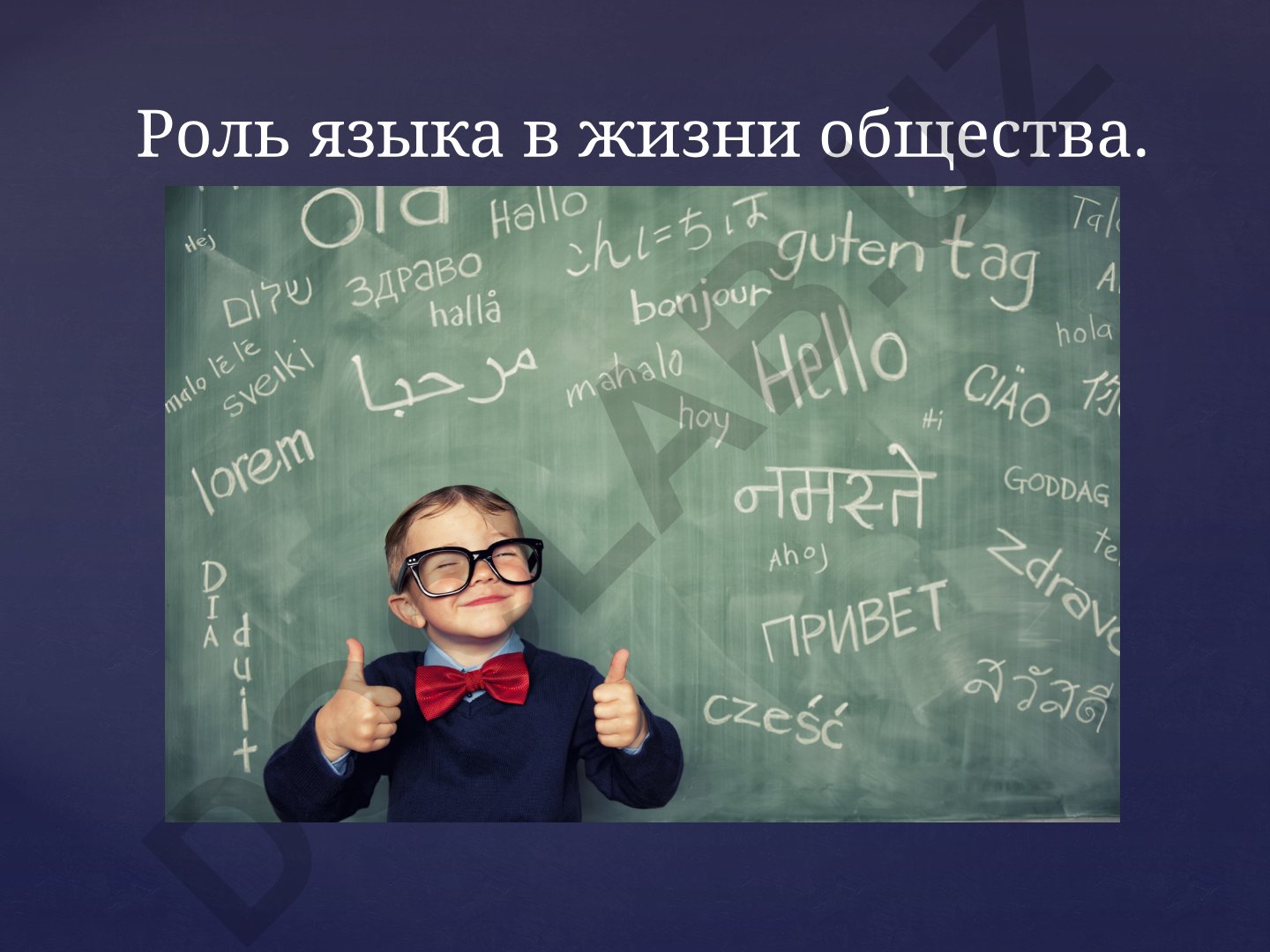Роль языка в жизни общества