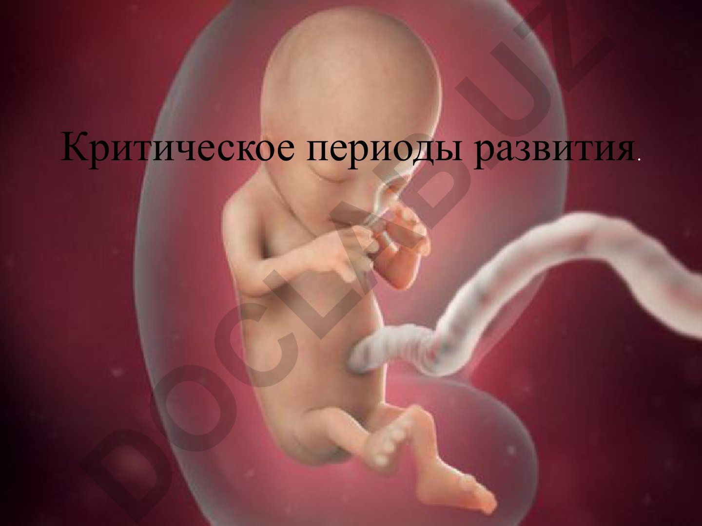 Критические периоды развития в онтогенезе