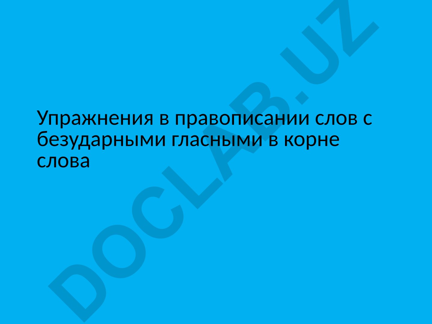 Правописание безударных гласных в корне слова