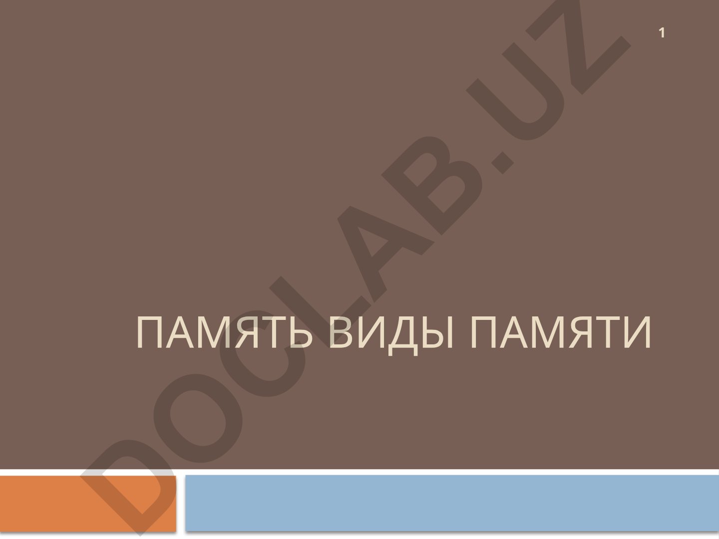 Память и её виды в психологии