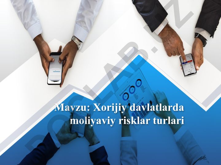 Xorijiy davlatlarda moliyaviy risklar turlari