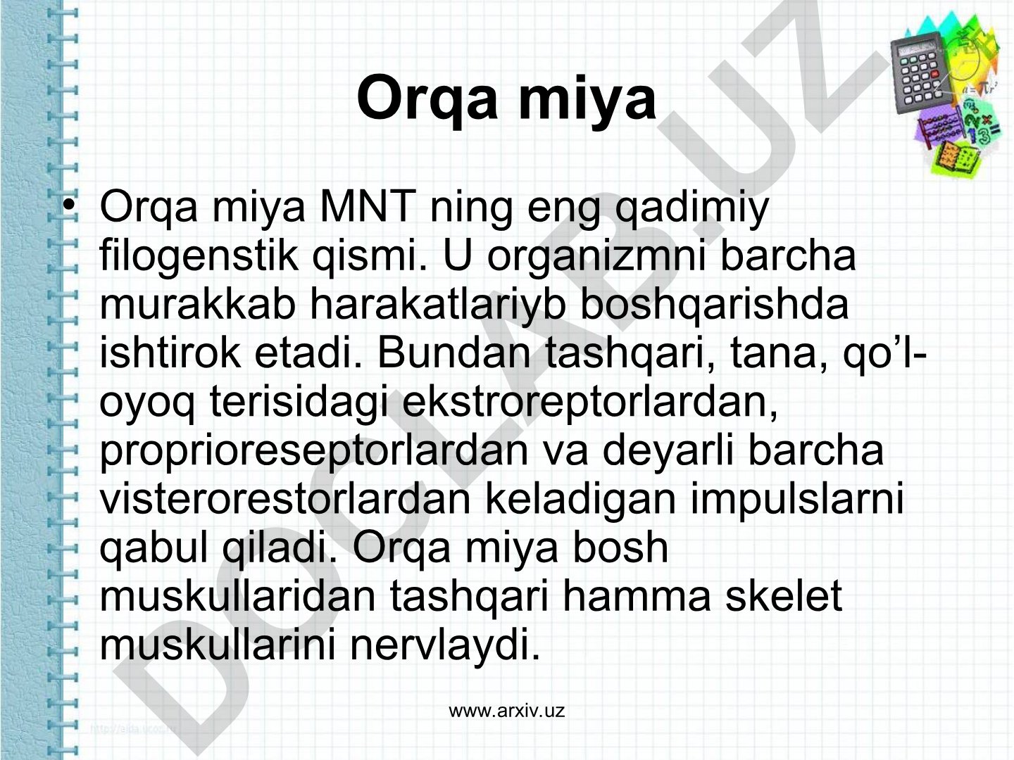 Orqa miyaning tuzilishi va funksiyalari