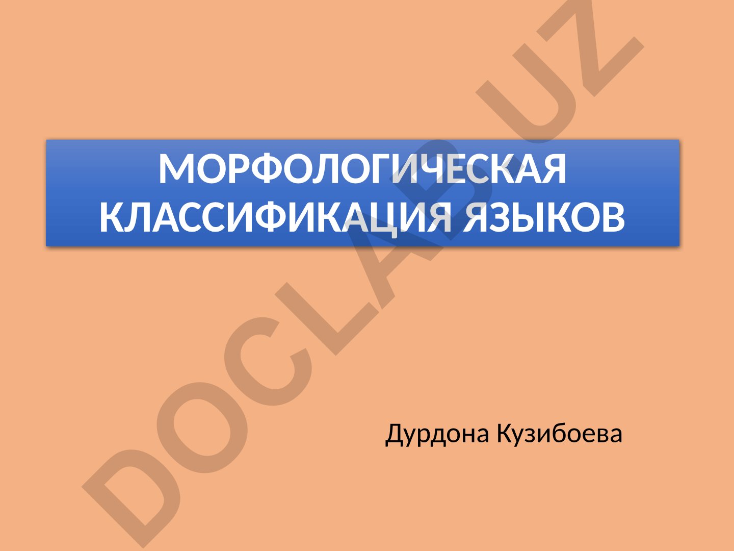 Морфологическая классификация языков